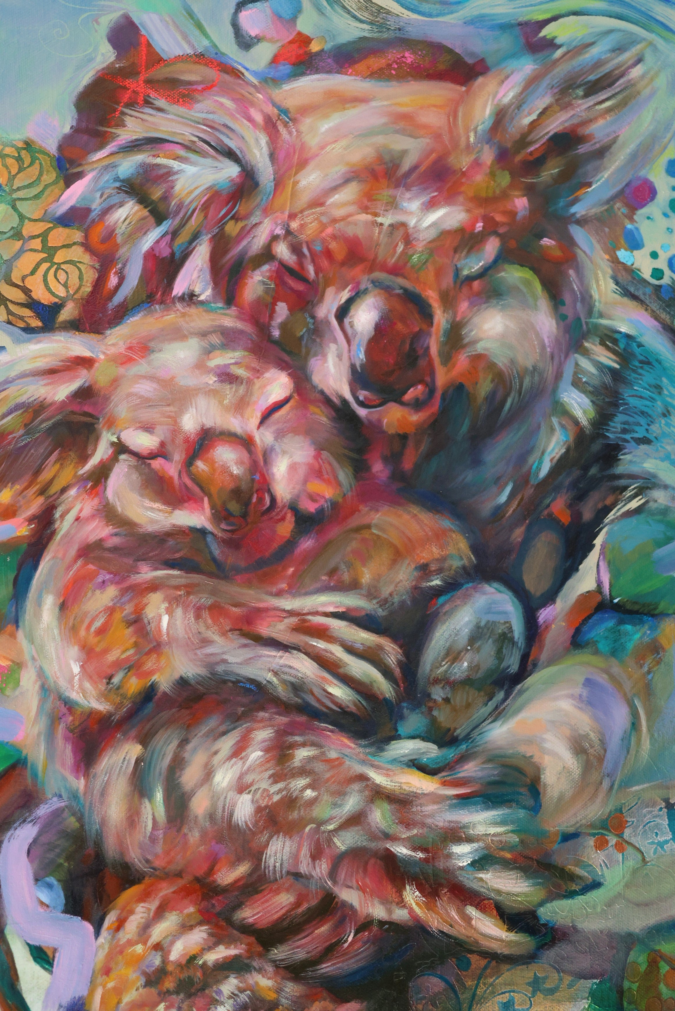 Koala Cuddle Puddle